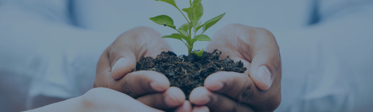 sustainability